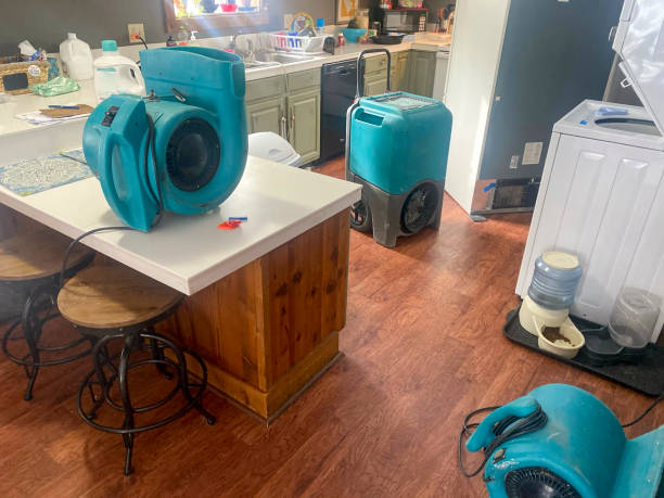 Best Carpet water damage restoration  in Wentzville, MO