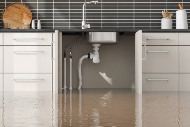 Best Flood damage cleanup  in Wentzville, MO