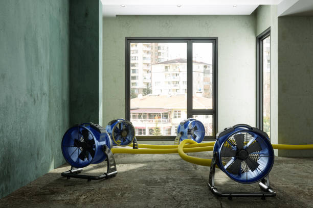 Best 24/7 water damage repair  in Wentzville, MO